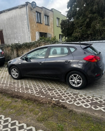 Kia Ceed cena 27900 przebieg: 202847, rok produkcji 2013 z Urzędów małe 631